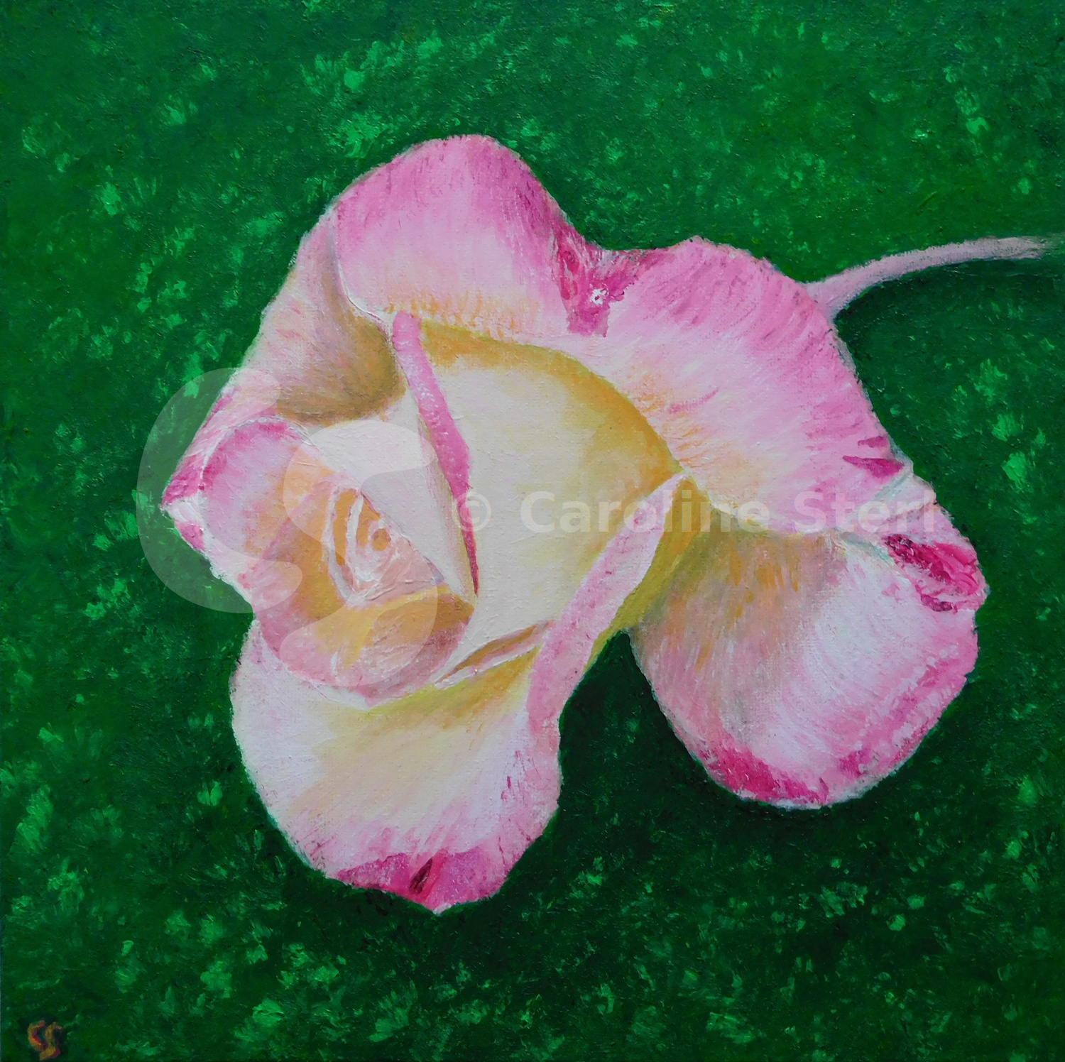 Painting: Rose